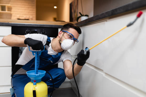 Best Mosquito Control Services  in Kennesaw, GA