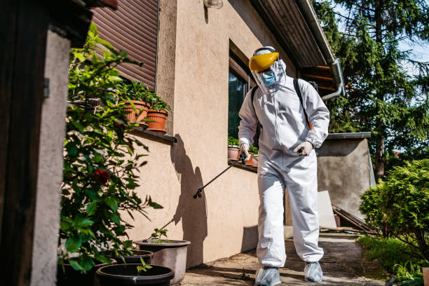 Best Mosquito Control Services  in Kennesaw, GA