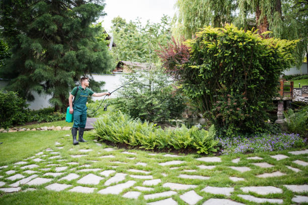 Best Pest Removal Services  in Kennesaw, GA